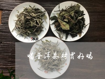 喝普洱茶对胃好吗/2023041374915