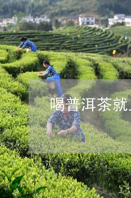 喝普洱茶就上火吗/2023033158280