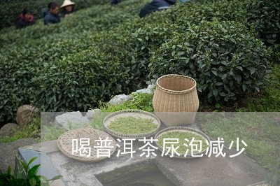 喝普洱茶尿泡减少/2023041067169