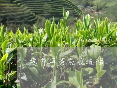 喝普洱茶屁股流油/2023033141513