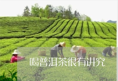 喝普洱茶很有讲究/2023040968483