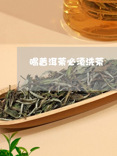 喝普洱茶必须洗茶/2023031526158