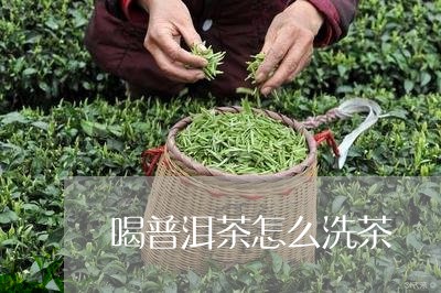 喝普洱茶怎么洗茶/2023041150591