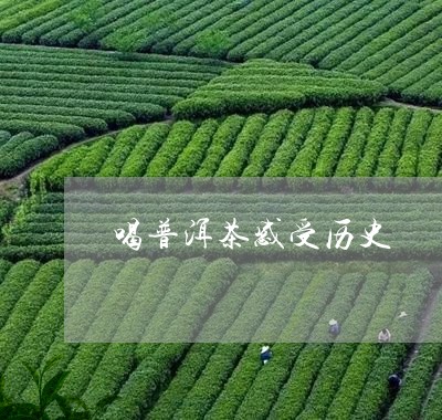 喝普洱茶感受历史/2023041392615