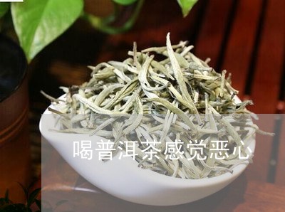 喝普洱茶感觉恶心/2023040925250