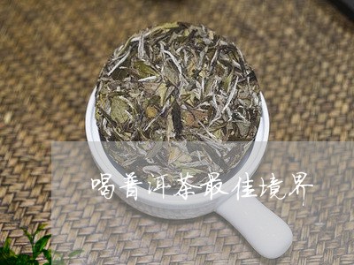 喝普洱茶最佳境界/2023040143827