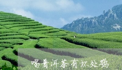 喝普洱茶有坏处嘛/2023031681716