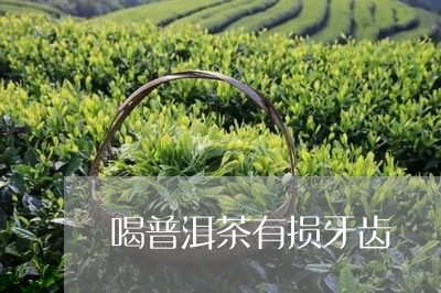 喝普洱茶有损牙齿/2023040953037