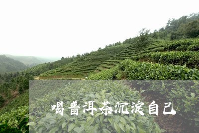 喝普洱茶沉淀自己/2023041151816