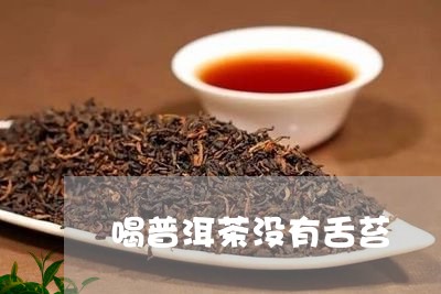 喝普洱茶没有舌苔/2023041005168