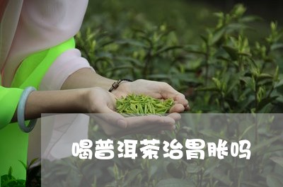 喝普洱茶治胃胀吗/2023033018383