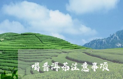 喝普洱茶注意事项/2023041199593