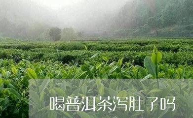 喝普洱茶泻肚子吗/2023033188494