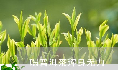 喝普洱茶浑身无力/2023041075846