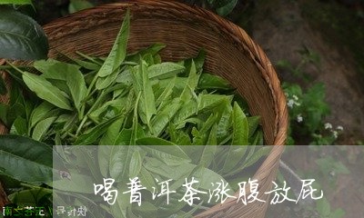 喝普洱茶涨腹放屁/2023031770783