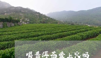 喝普洱茶爱上火吗/2023040140471