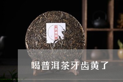 喝普洱茶牙齿黄了/2023040994837