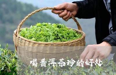 喝普洱茶珍的好处/2023031718592