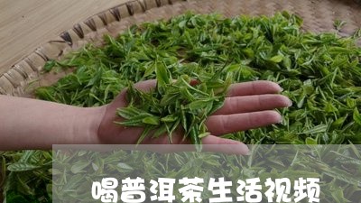 喝普洱茶生活视频/2023041062725