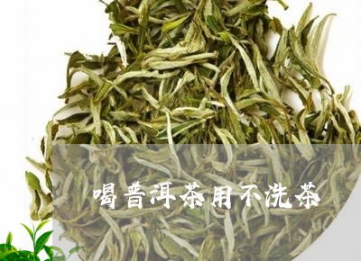 喝普洱茶用不洗茶/2023041111591