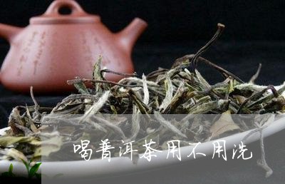 喝普洱茶用不用洗/2023033130614