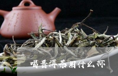 喝普洱茶用什么杯/2023031765482