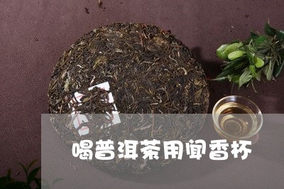 喝普洱茶用闻香杯/2023041460614