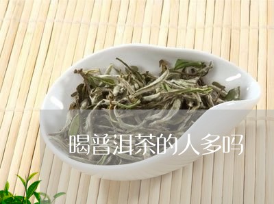 喝普洱茶的人多吗/2023031767393