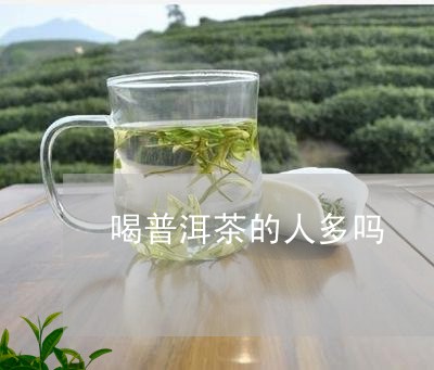 喝普洱茶的人多吗/2023041344937