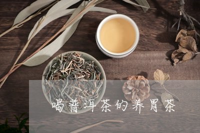 喝普洱茶的养胃茶/2023041150692