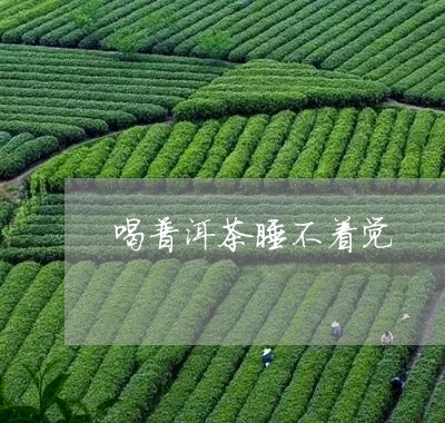 喝普洱茶睡不着觉/2023041378380