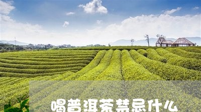 喝普洱茶禁忌什么/2023041406958