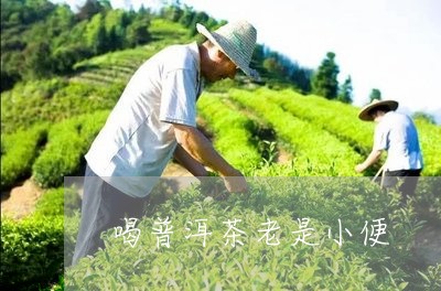 喝普洱茶老是小便/2023041086360