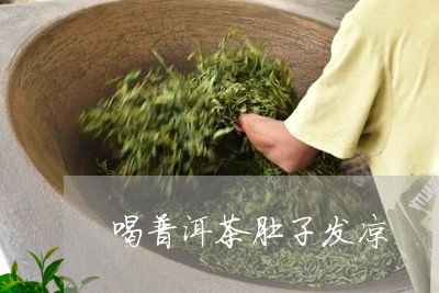 喝普洱茶肚子发凉/2023041204179