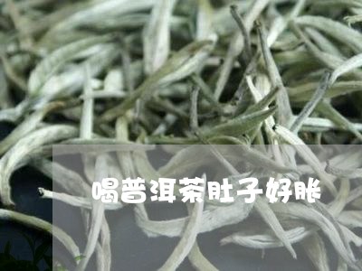 喝普洱茶肚子好胀/2023040188259