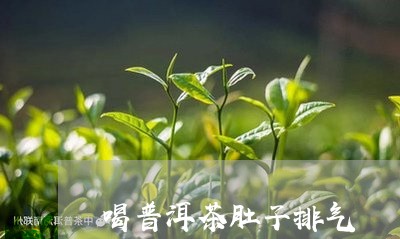 喝普洱茶肚子排气/2023041062704