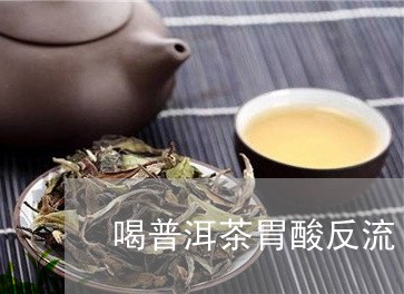 喝普洱茶胃酸反流/2023040186550