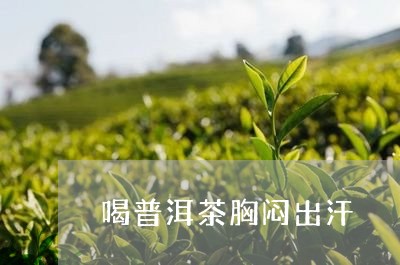 喝普洱茶胸闷出汗/2023041060946