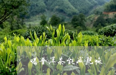 喝普洱茶能减肥嘛/2023031659271