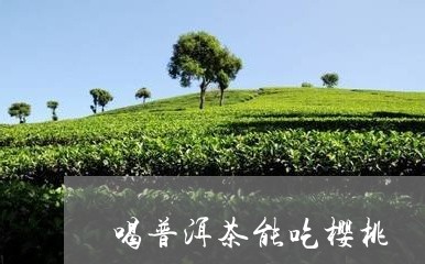 喝普洱茶能吃樱桃/2023031663817