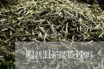 喝普洱茶能吃辣吗/2023041330592