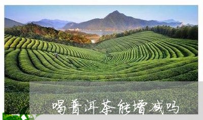 喝普洱茶能增减吗/2023040193823