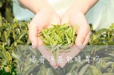 喝普洱茶能暖胃吗/2023033182715