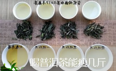 喝普洱茶能瘦几斤/2023031626472