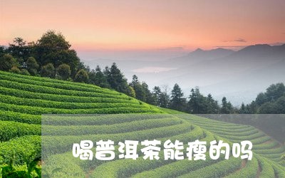 喝普洱茶能瘦的吗/2023033081726