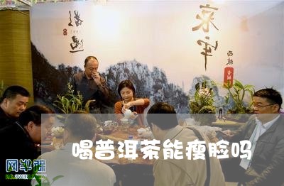 喝普洱茶能瘦脸吗/2023041340705