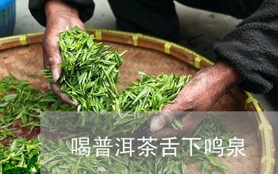 喝普洱茶舌下鸣泉/2023040138694