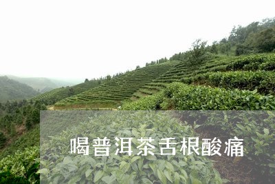 喝普洱茶舌根酸痛/2023041240705