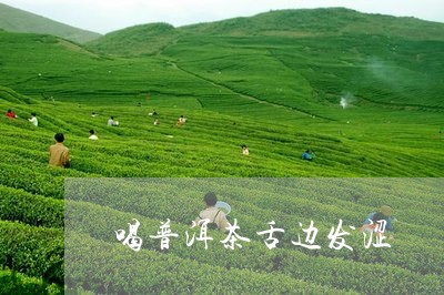 喝普洱茶舌边发涩/2023033116147