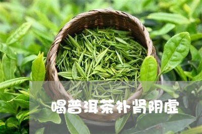 喝普洱茶补肾阴虚/2023040105947